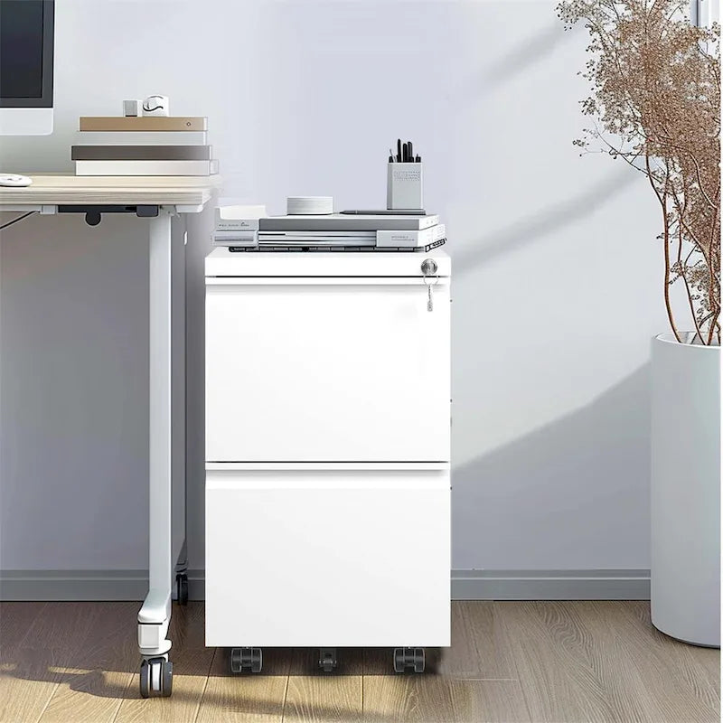 2 Drawer Metal Mobile File Cabinet,Rolling File Cabinet with Lock